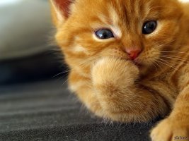 D2956F57-F03C-499F-B7FB-7E16FC5A2FD5.jpeg