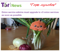 Горе Луковое ONIONовое.png