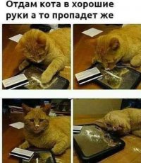 1657900351.jpg