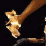 20388.gif