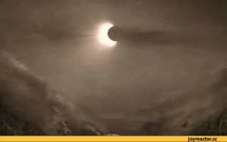 1449980_original.gif