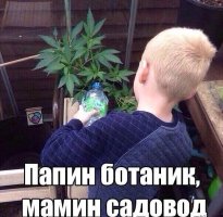IMG_20220805_113705_959.jpg