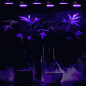 LAB&GROW7777