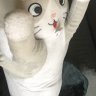 m1cr0n4iki2