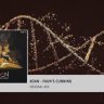 Koan