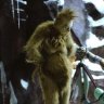 Grinch Stole