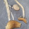AcidGrower