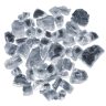 neural network