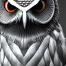 NIGHT OWL