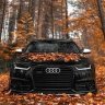 Audi161russs
